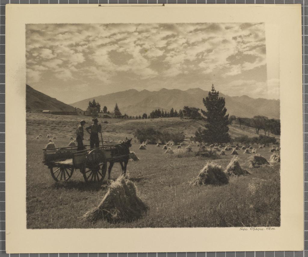Harvesting near Wanaka