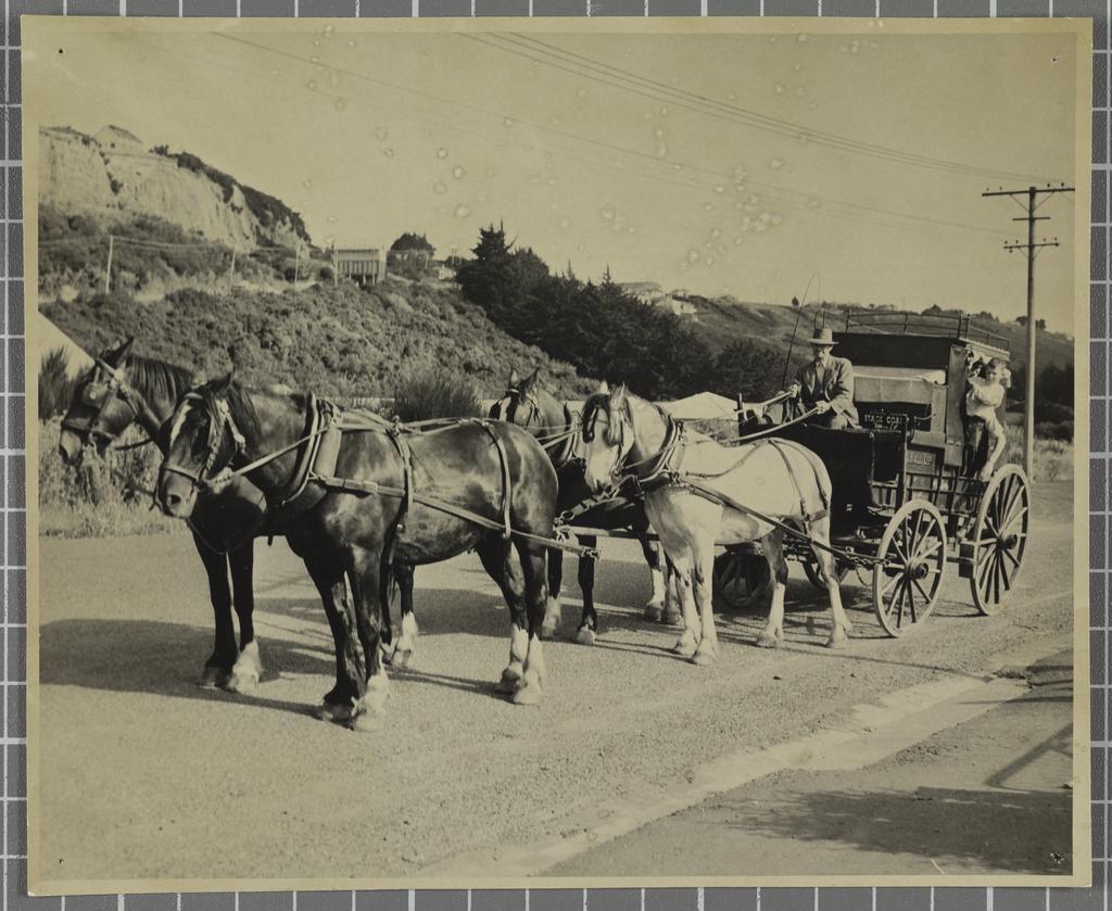 Dunedin Festival - Mr Fox Farmer, Barr St, Mornington (driver)
