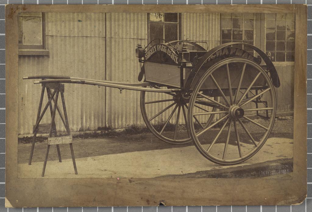 Two-wheeled horse-drawn dog cart
