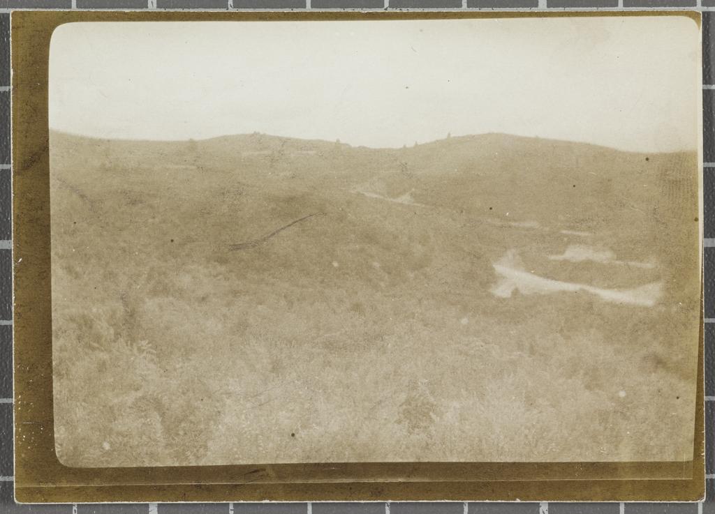 Wooded landscape