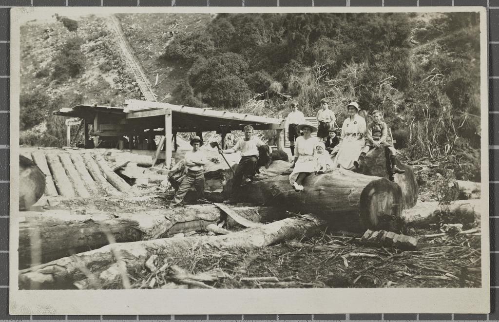 Sawmill, Peel Forest