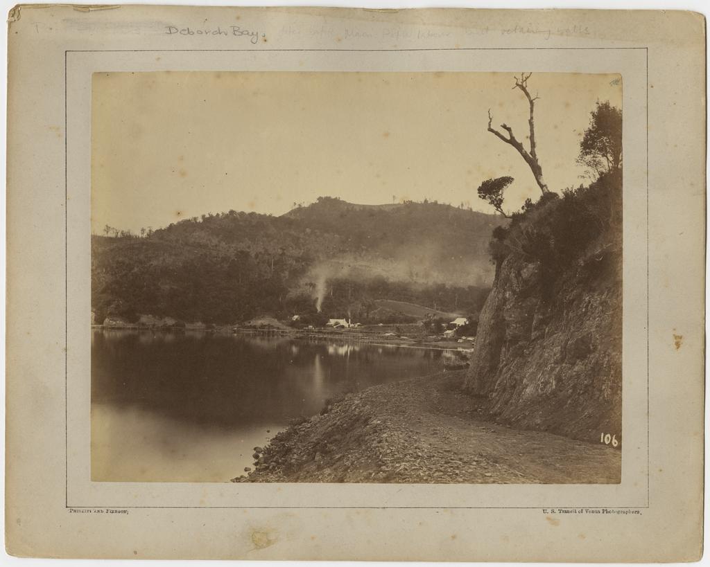Deborah Bay, Otago Harbour