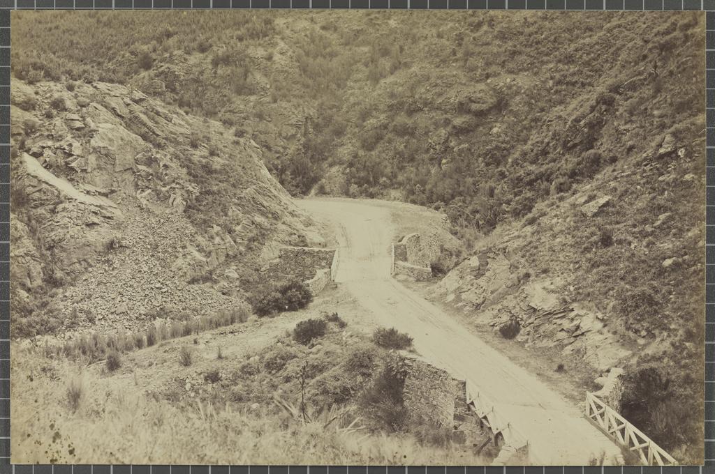 Manuka Gorge, a bit on the Milton Lawrence Road
