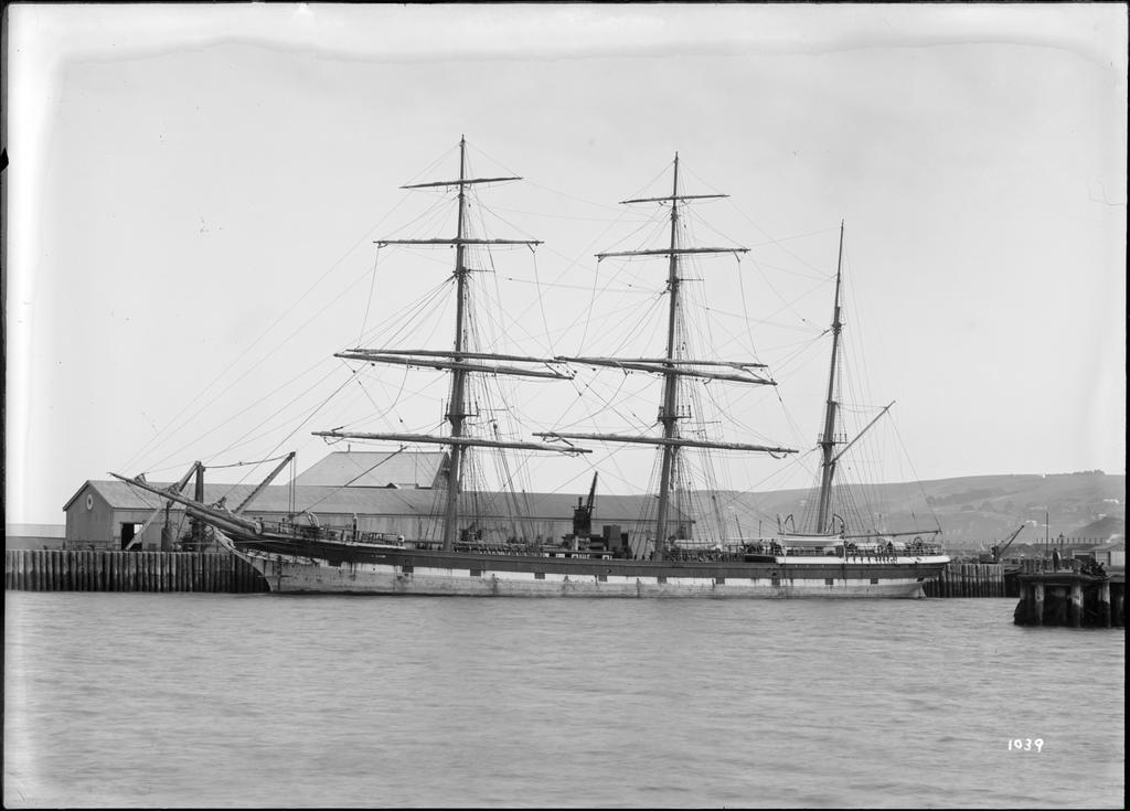 Nelson