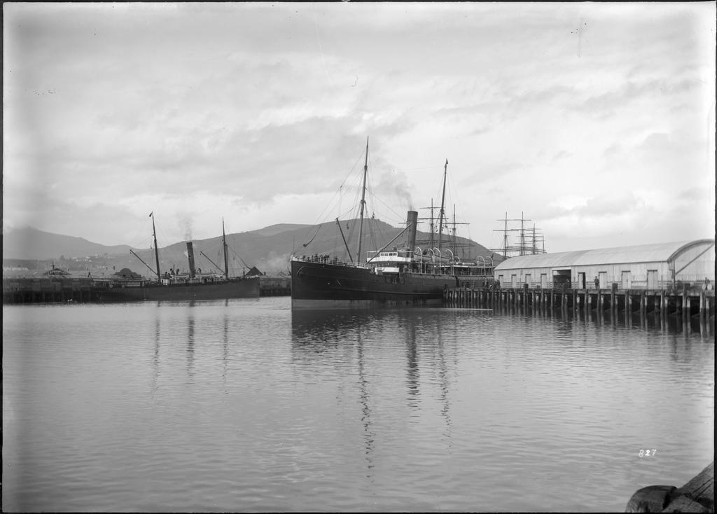 Harbour Basin, Dunedin