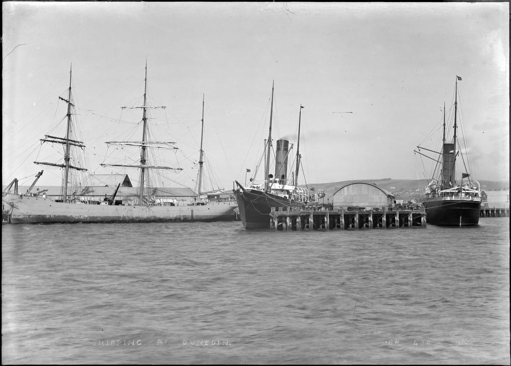 Shipping at Dunedin