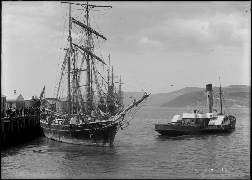 Annie Hill and Koputai