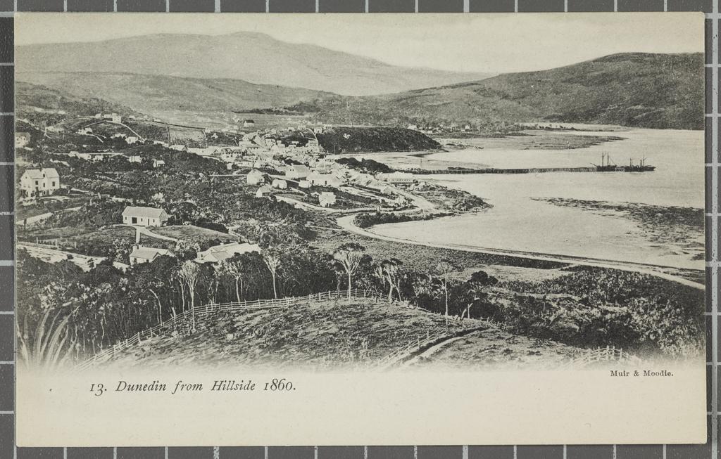 Dunedin from Hillside, 1860