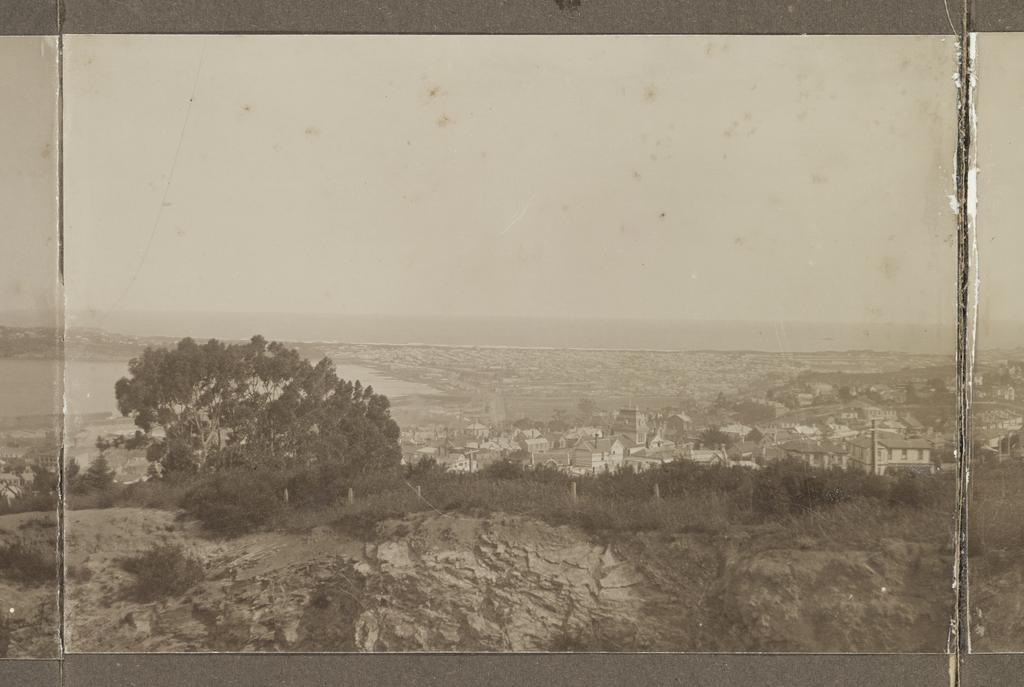 Dunedin panorama, part three
