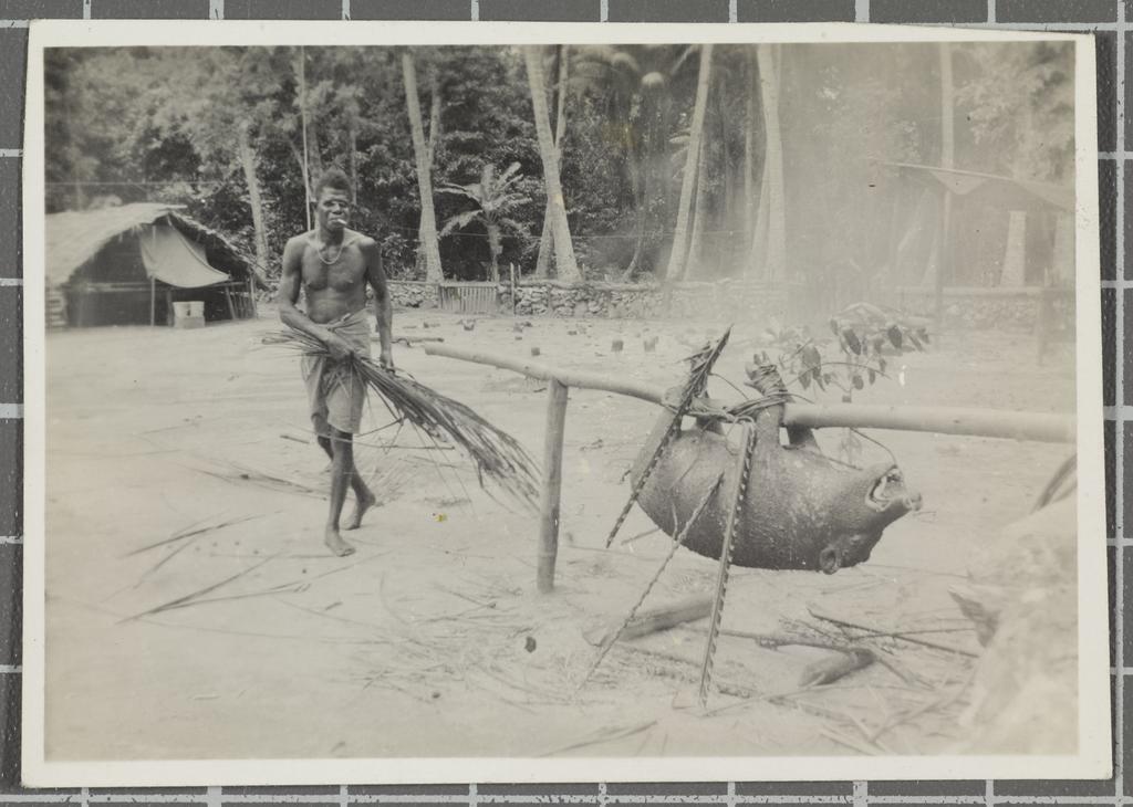 Man roasting a pig on a spit