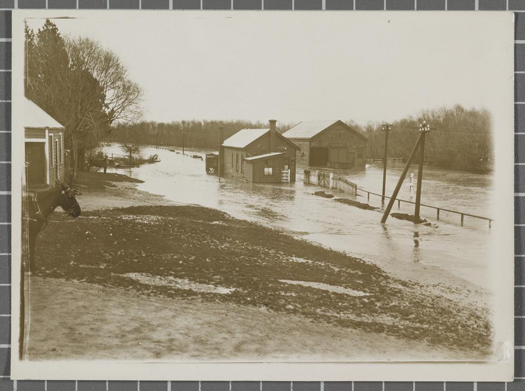 Allanton Railway Station | Hocken Digital Collections