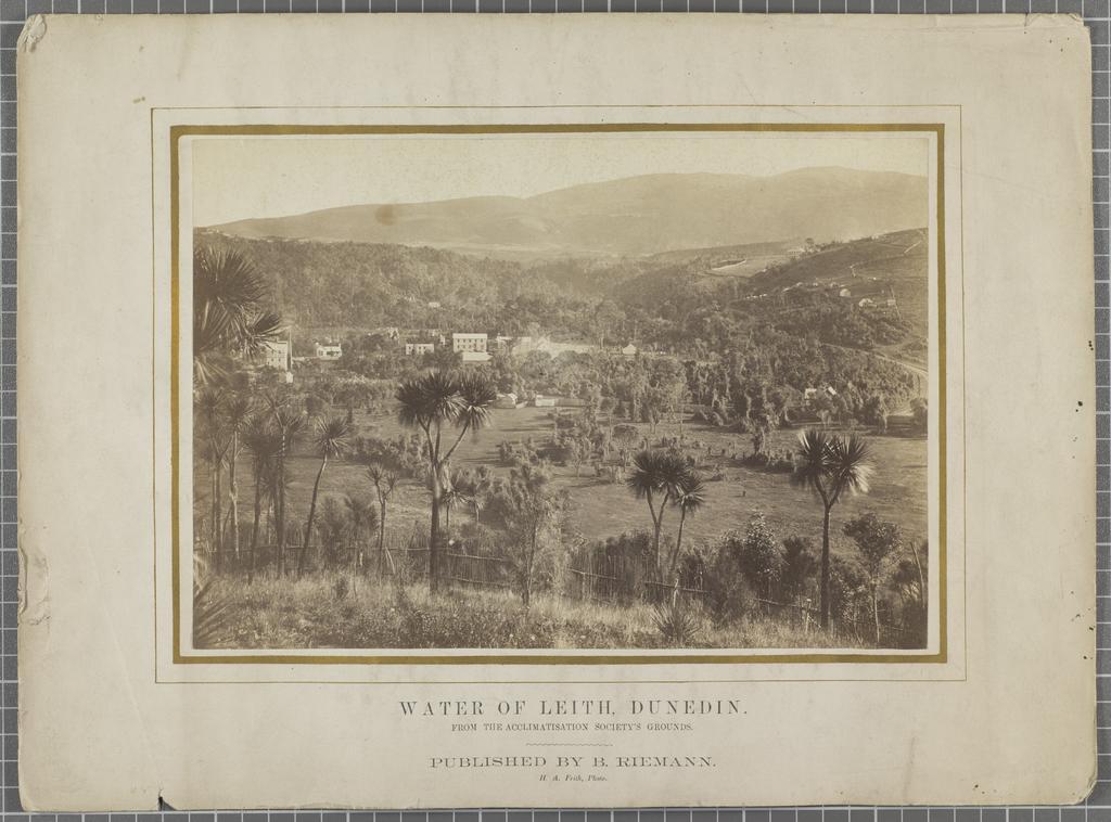 Water of Leith, Dunedin. From the Acclimatisation Society's grounds