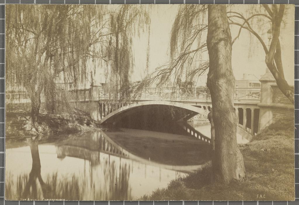 The Avon, Christchurch