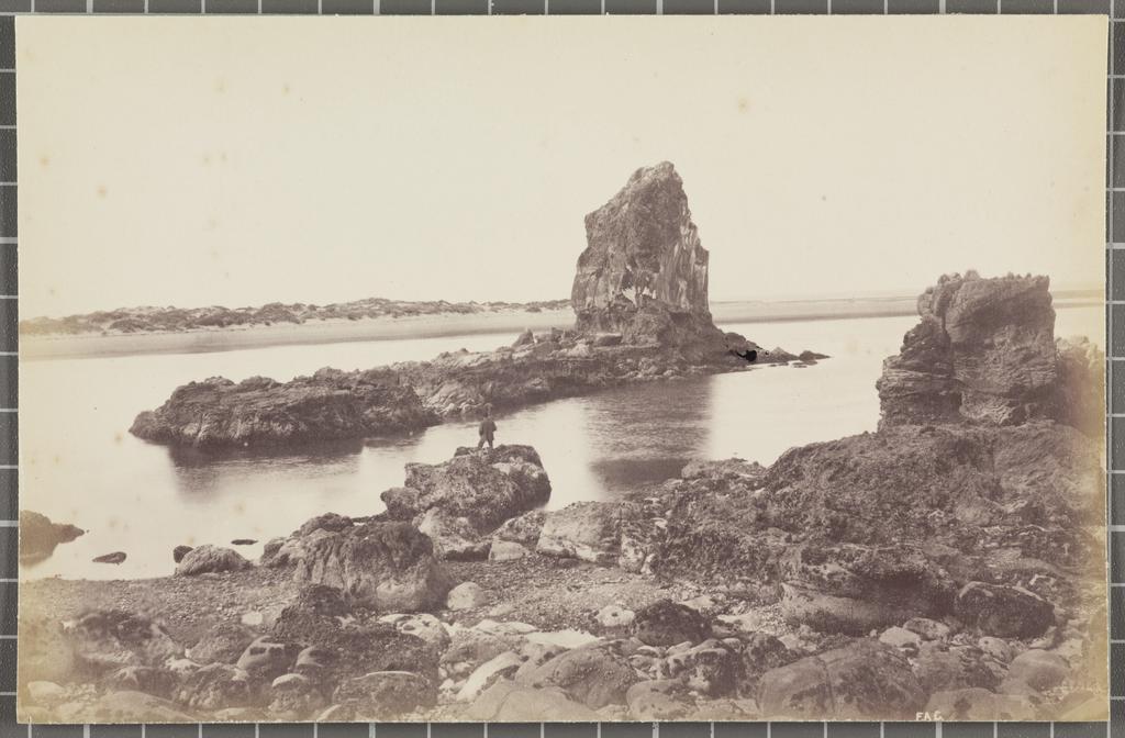 Sumner