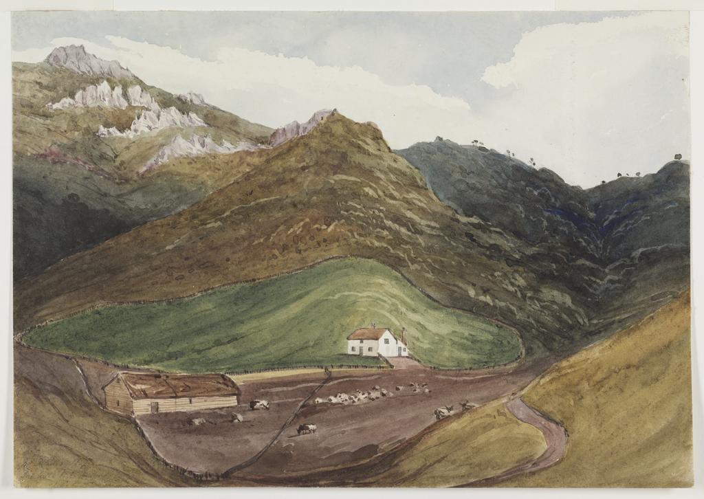 Mr Rhodes&rsquo; Station, Acheron Bay. Canterbury