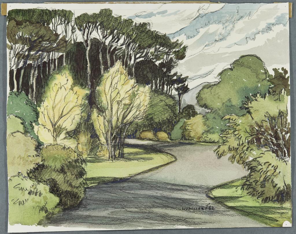 Autumn in Queen&rsquo;s Drive, Dunedin