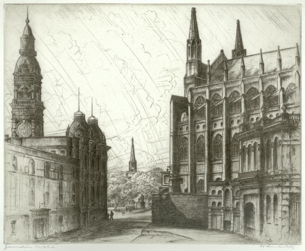 Dunedin vista