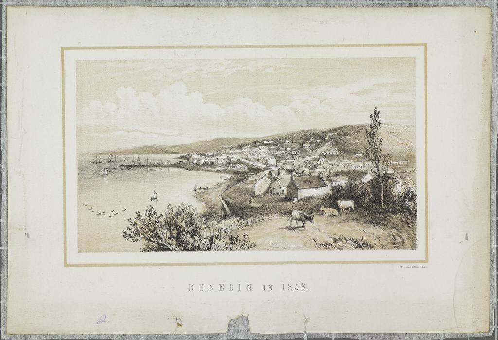 Dunedin in 1859. W. Banks &amp; Son, Edin.r