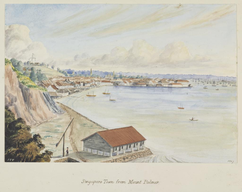 Singapore town from Mount Palmer