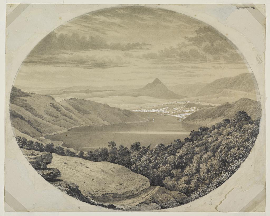 [Dunedin from the neighbourhood of Larnach&rsquo;s Castle]