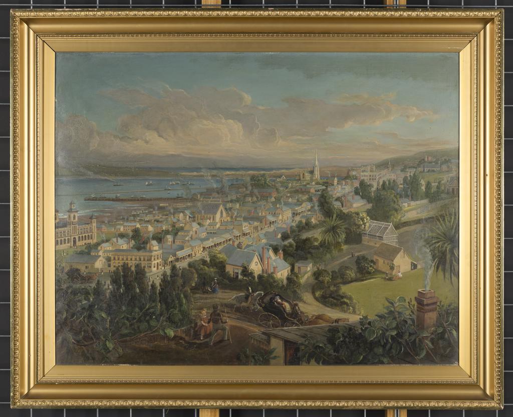 Dunedin from above George St