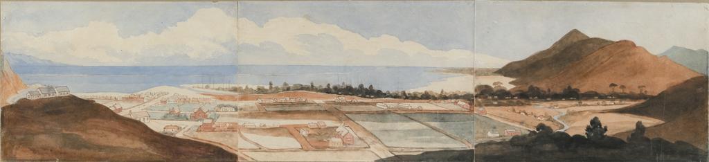 Nelson