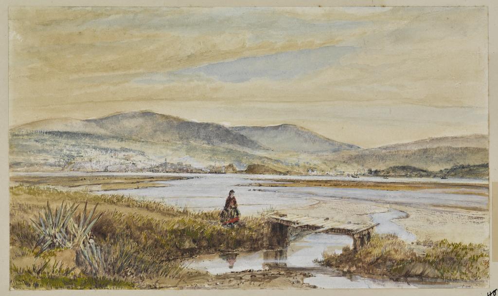 Dunedin from the track to Anderson&rsquo;s Bay