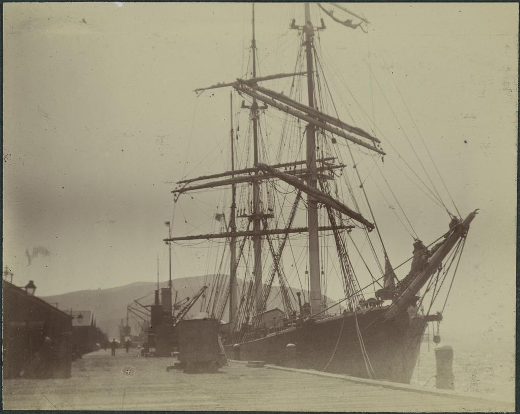 Barque John Lockett, Dunedin