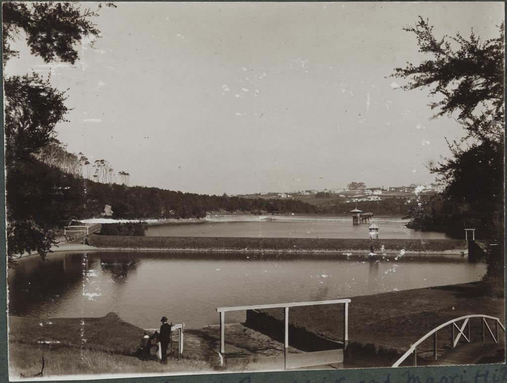 Ross Creek Reservoir and Maori Hill