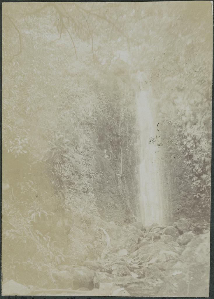 Nicholls Creek waterfall