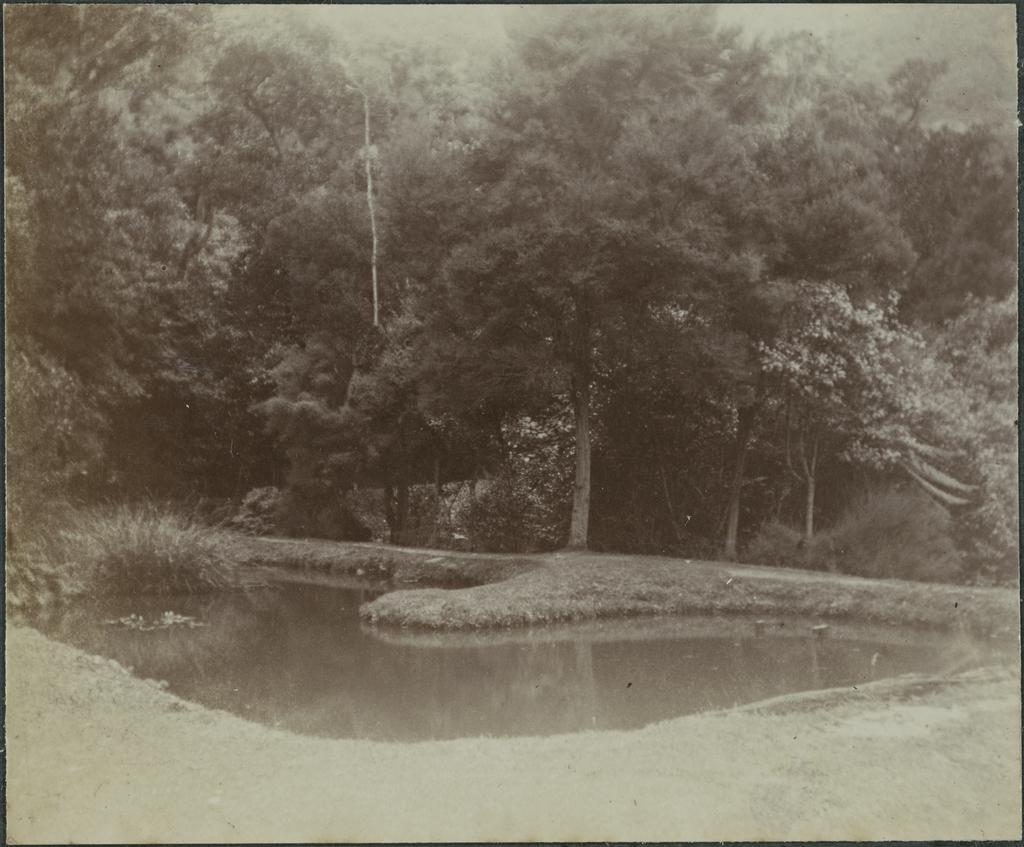 Pond at fish hatchery
