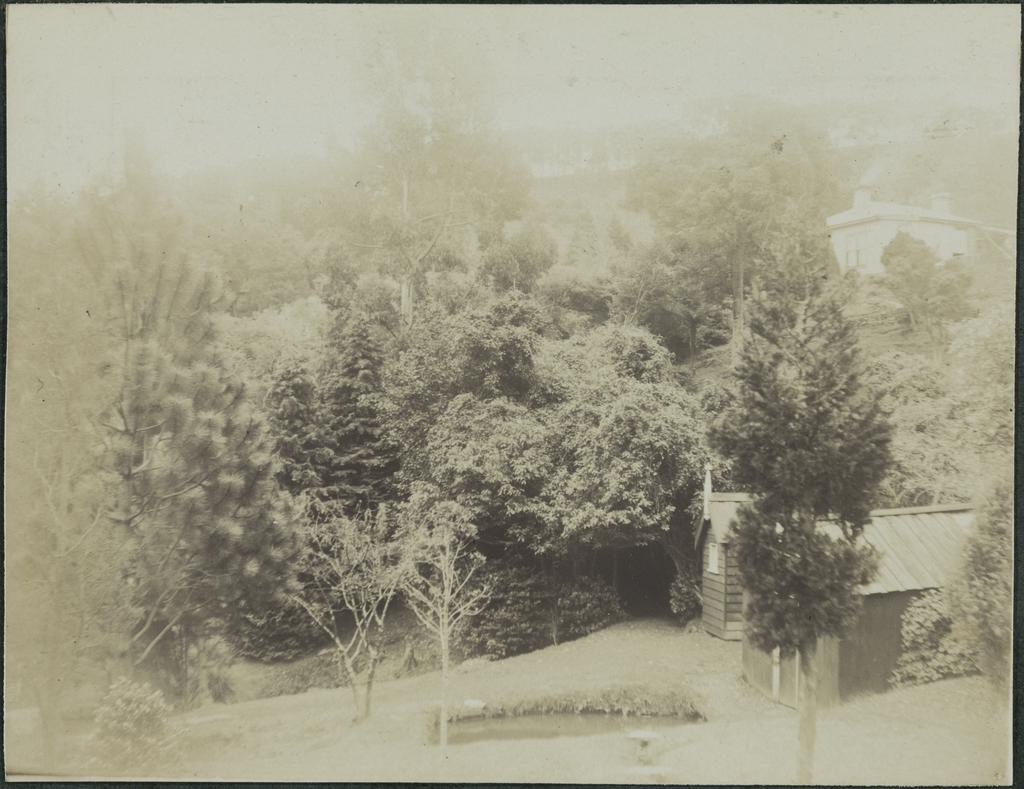 Fish hatchery, Opoho