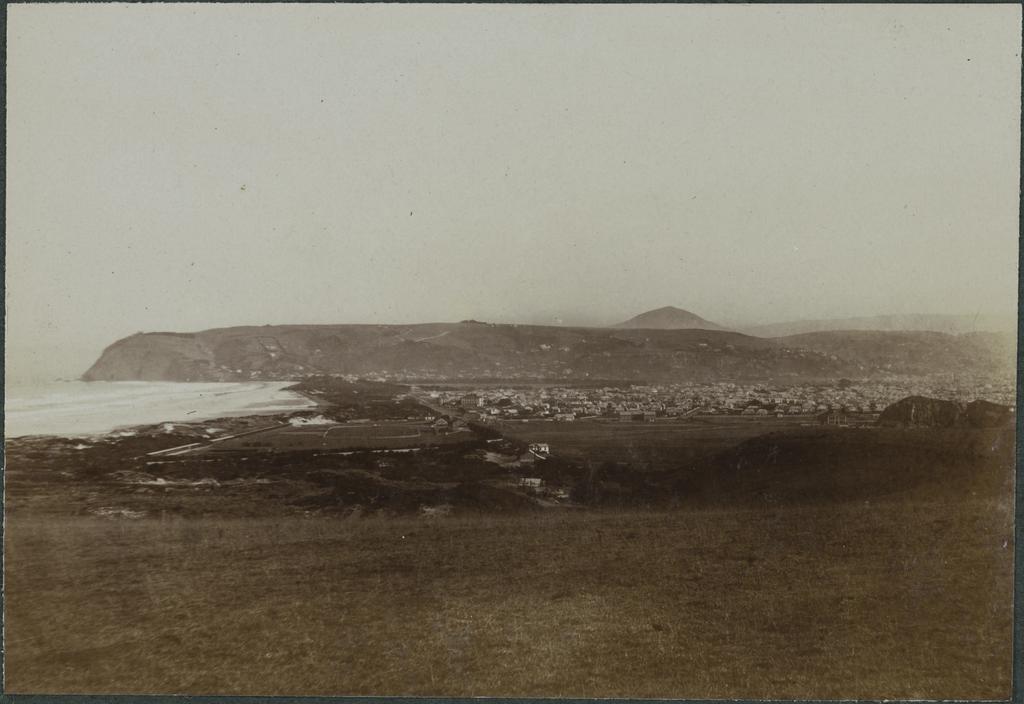 South Dunedin from above Lawyer's Head