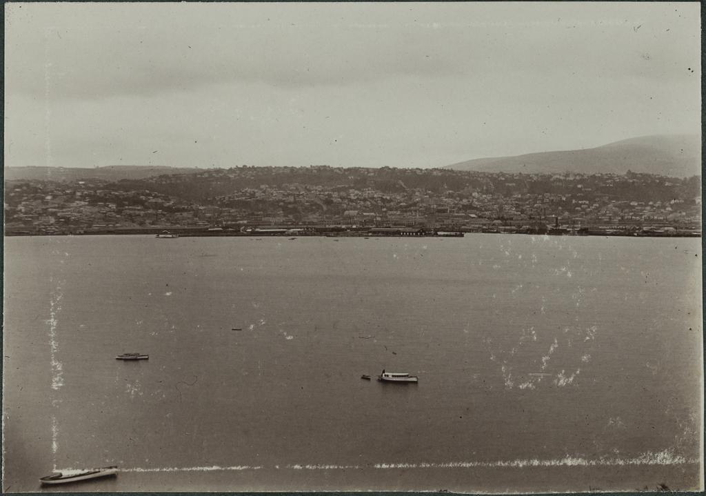 Dunedin Central from Andersons Bay