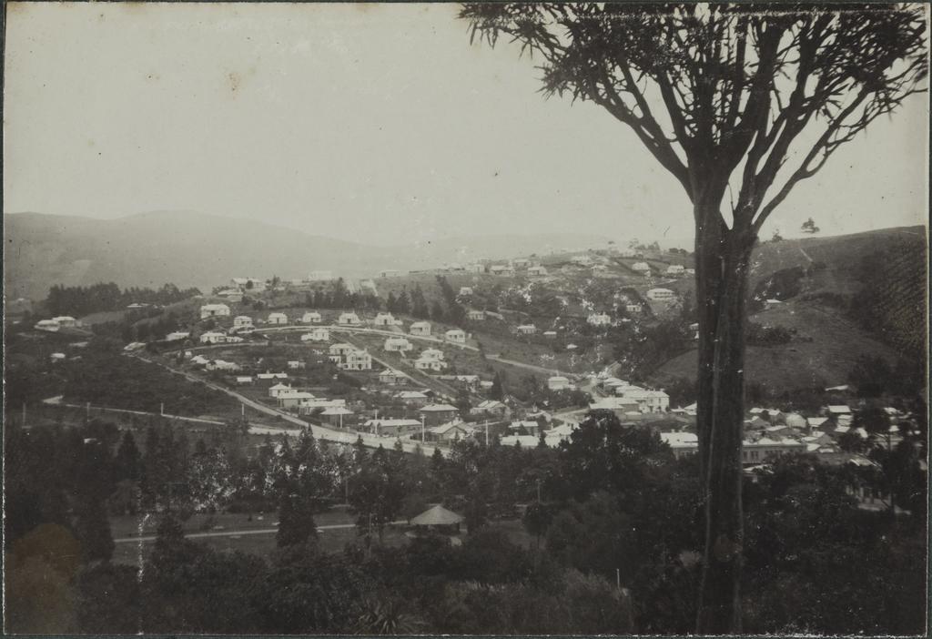 Pine Hill and Botanical Gardens