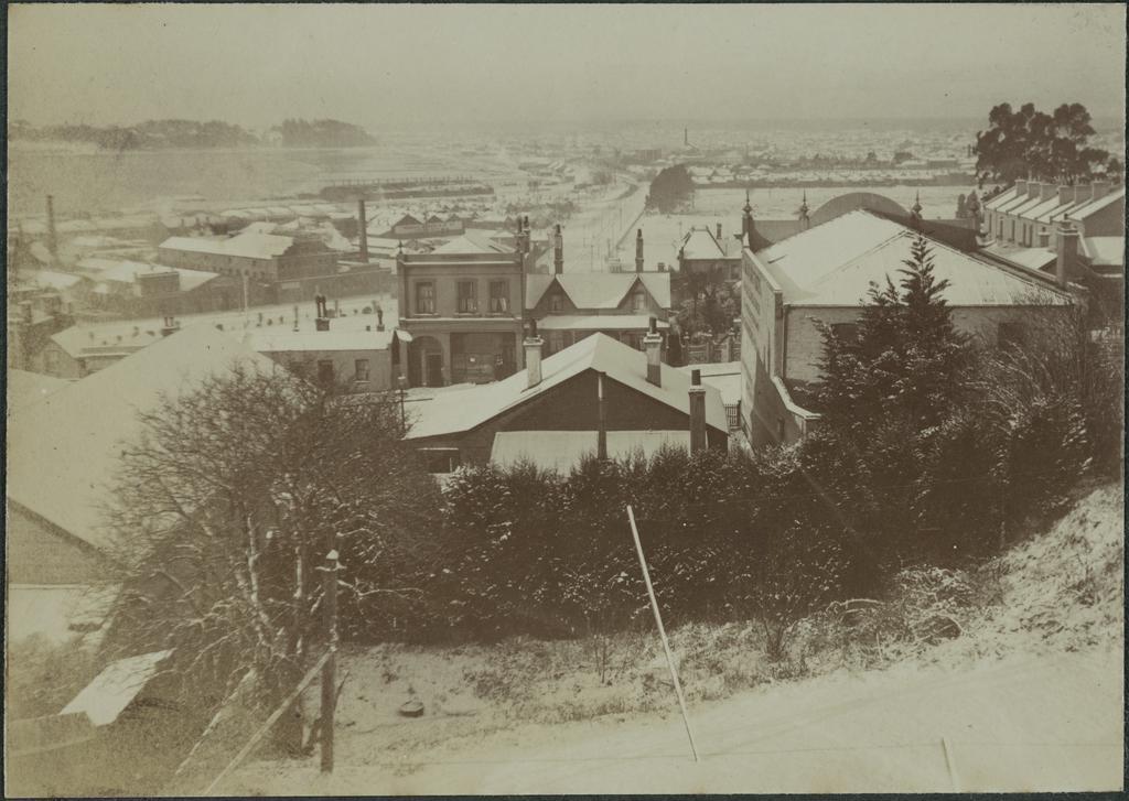 Dunedin South under snow, from St Matthew's vicarage