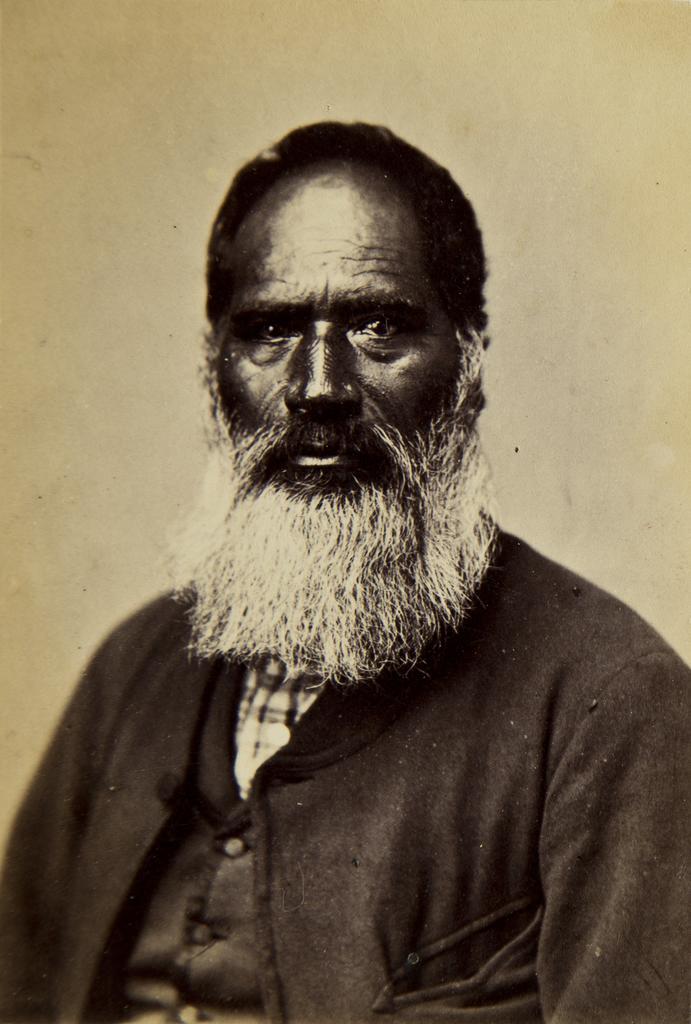 Wickliffe, Poverty Bay Chief