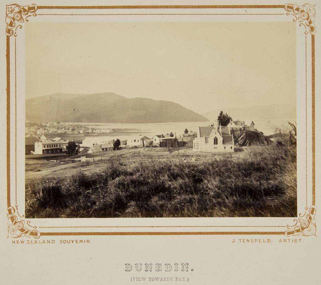 Dunedin (view towards the bay)
