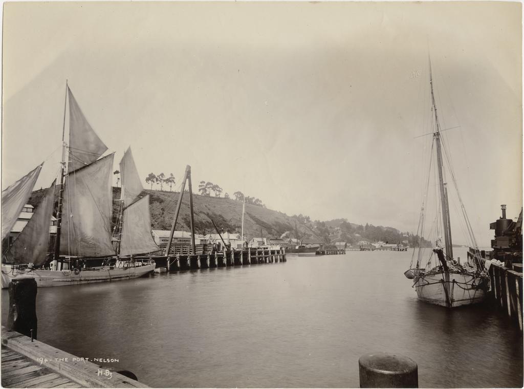The Port, Nelson