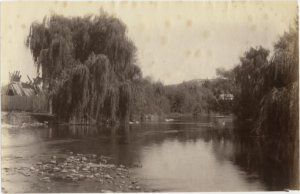 River Scene