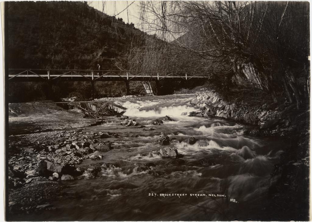 Brook Street Stream, Nelson