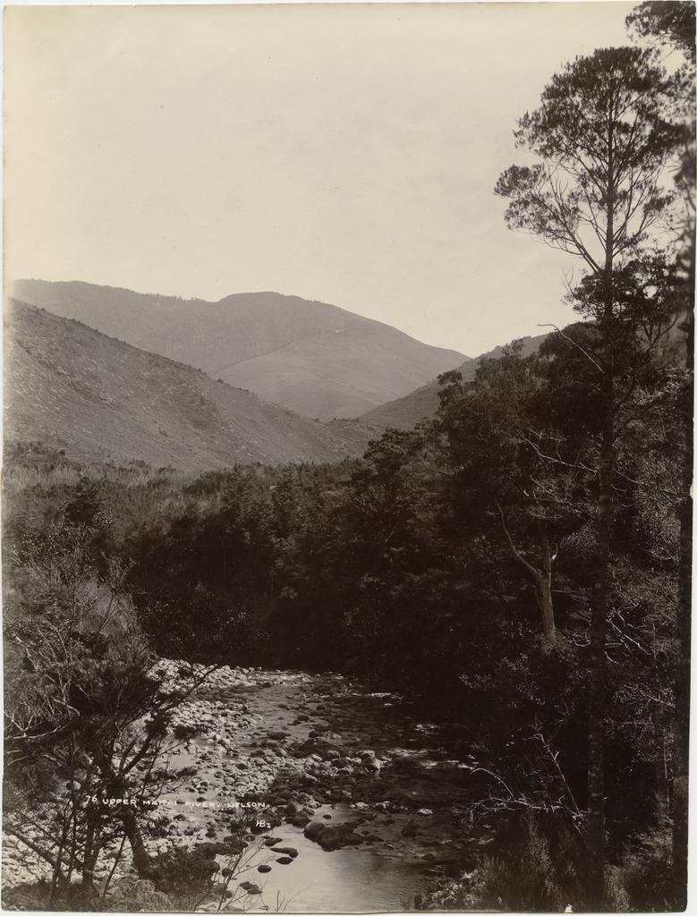 Upper Maitai River, Nelson