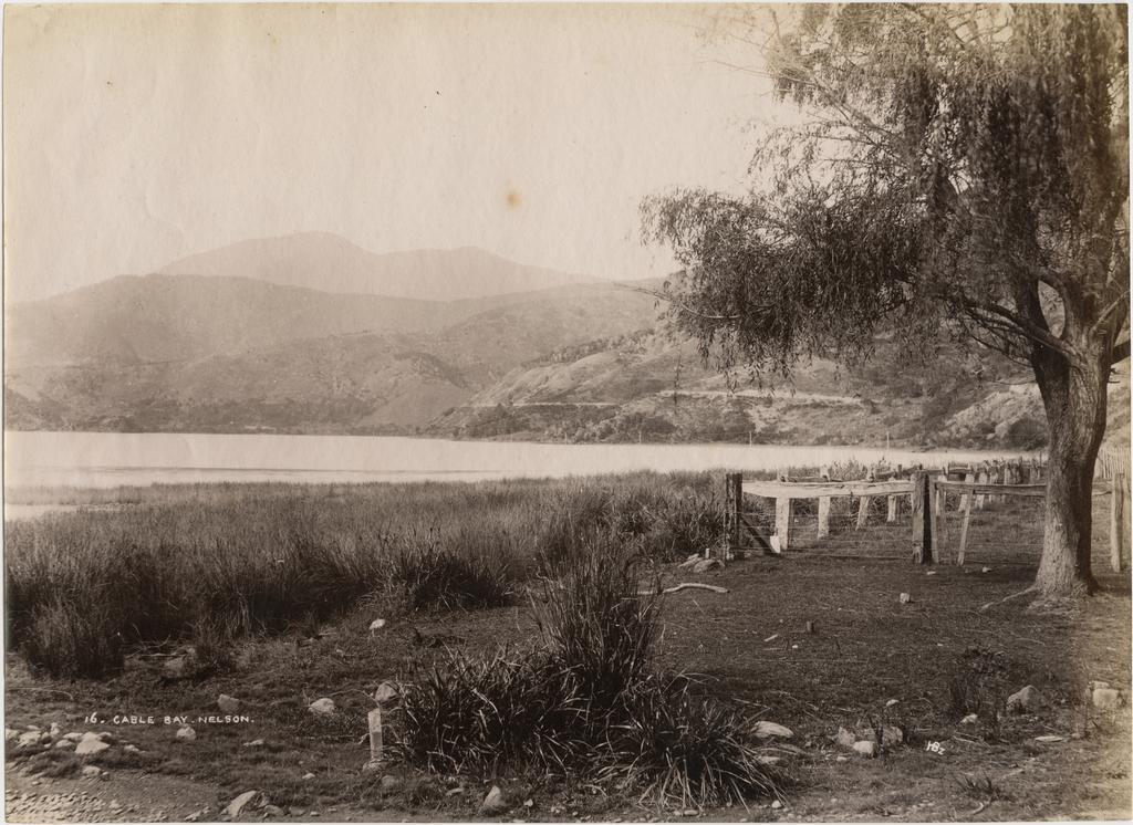 Cable Bay, Nelson