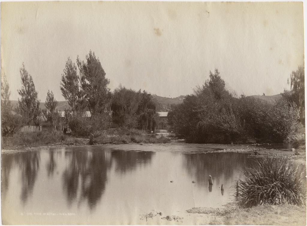 On The Maitai, Nelson