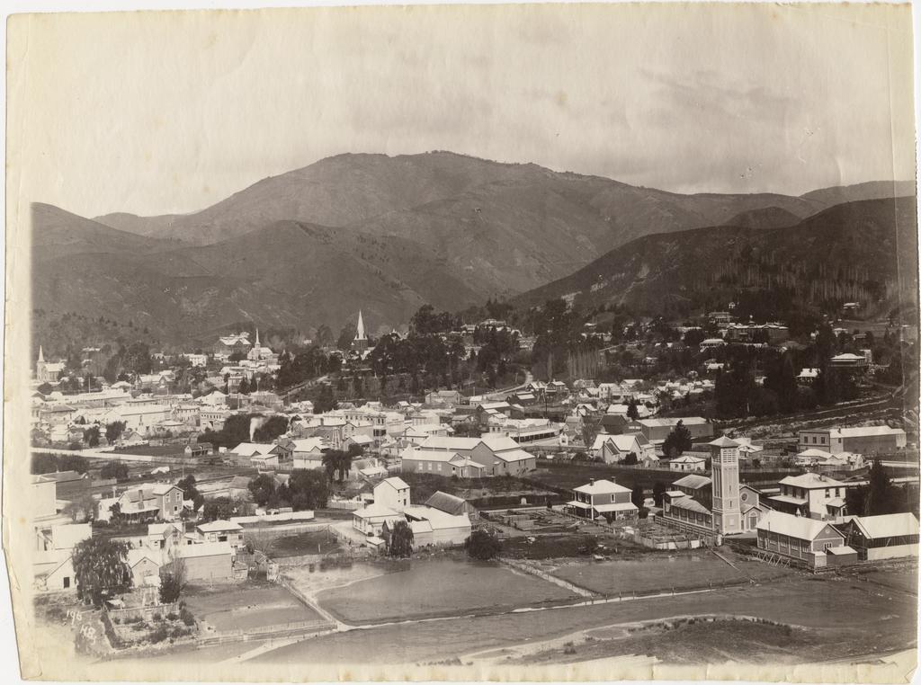 Nelson