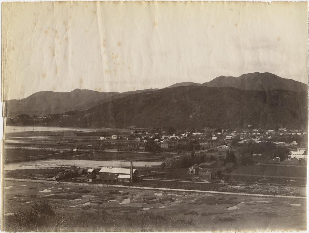 Nelson