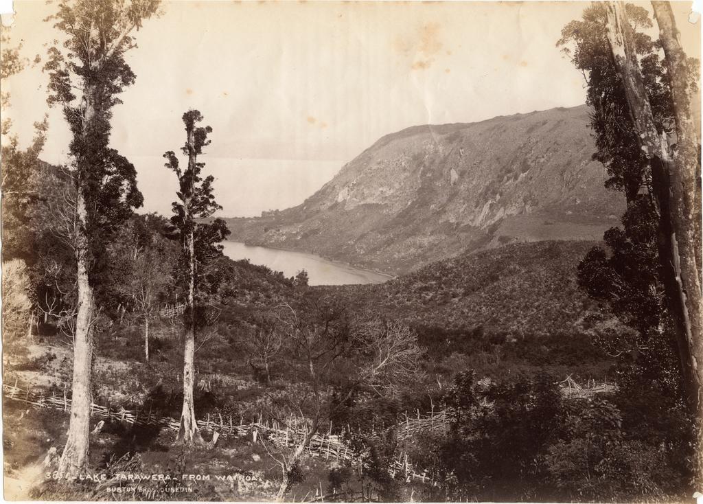 Lake Tarawera From Wairoa