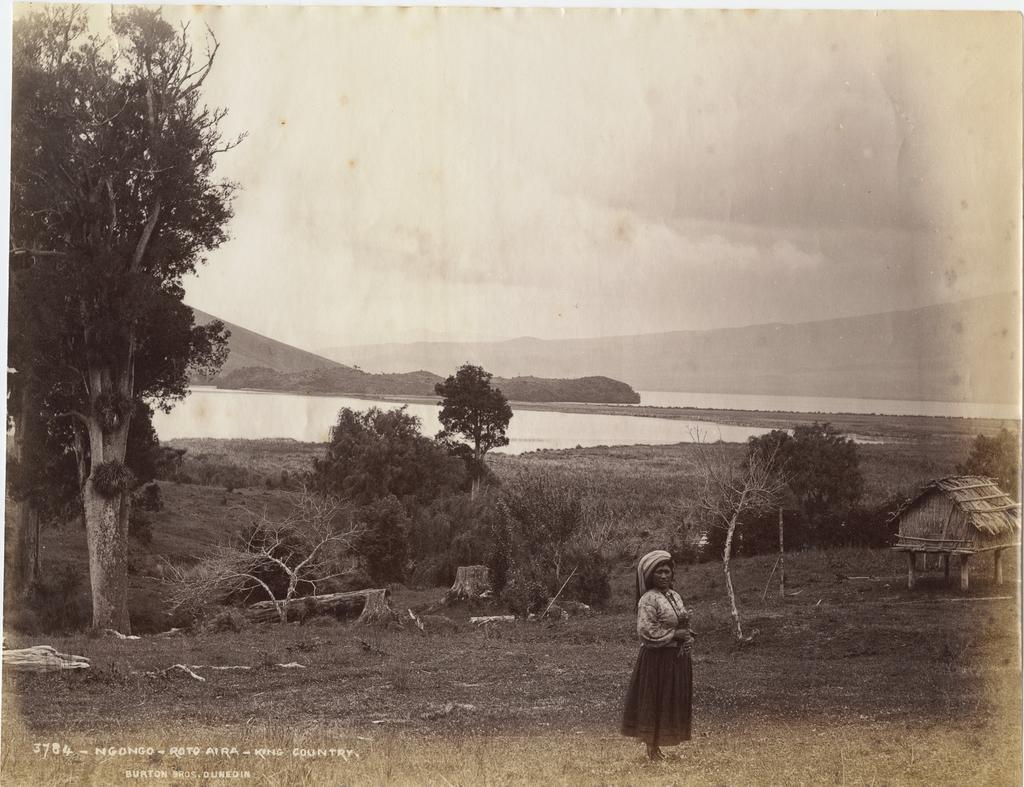 Ngongo, Roto Aira, King Country