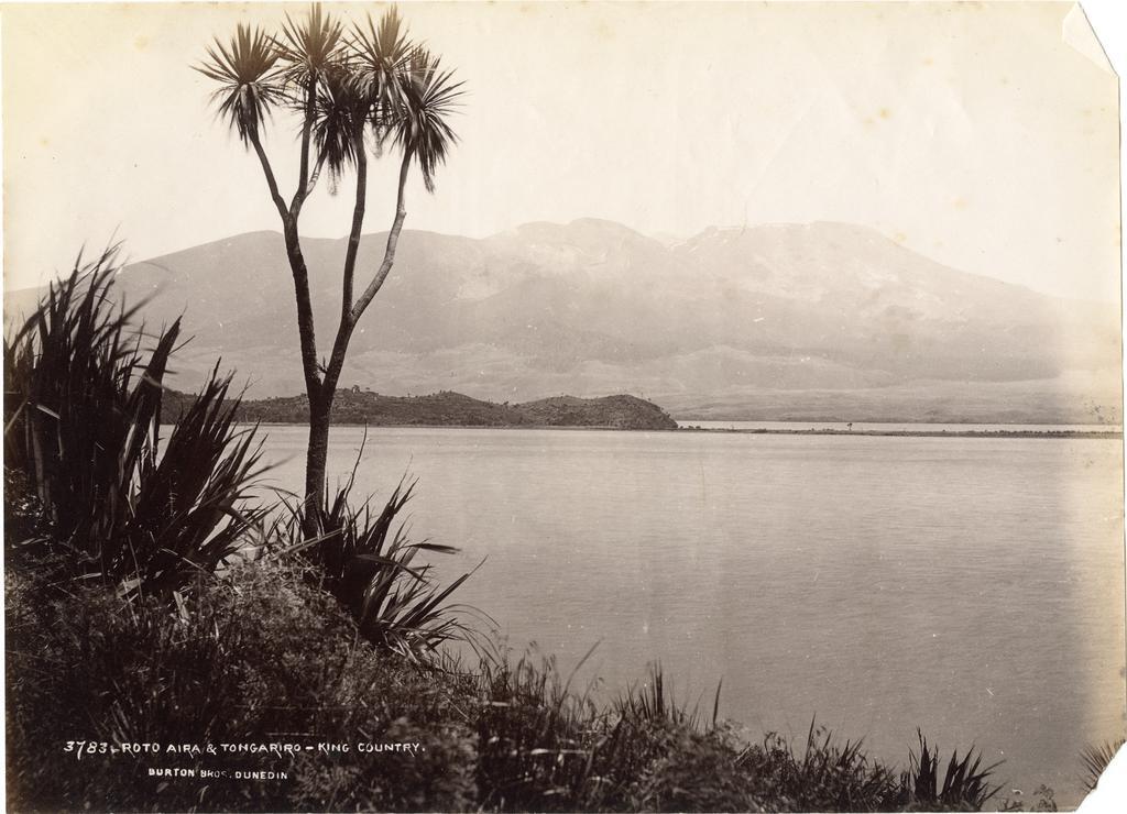 Roto Aira &amp; Tongariro