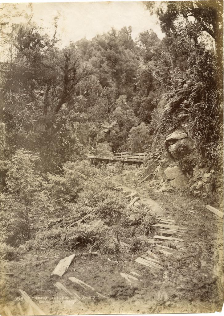 Tararu Creek, Thames